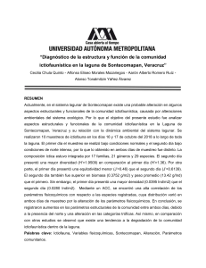 Diagnostico de la estructura y función de la comunidad ictiofaunistica de La Laguna de Sontecomapan, Veracruz