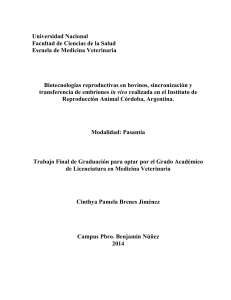 Biotecnologías reproductivas en bovinos, sincronización y transferencia de embriones