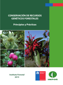 Conservación de recursos genéticos forestales