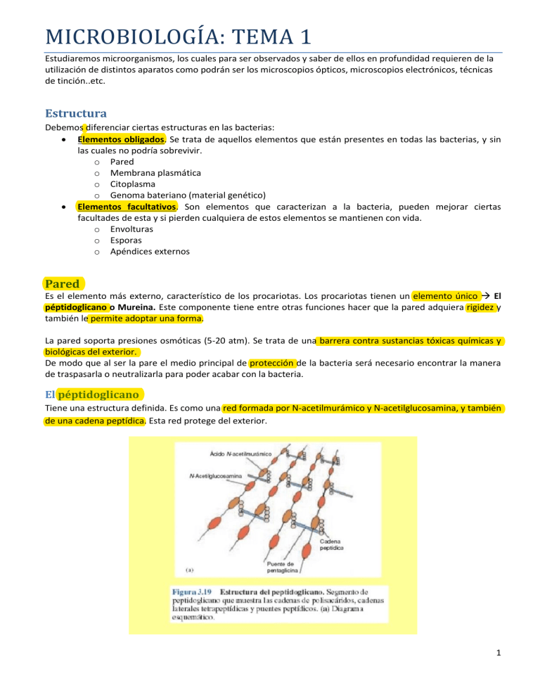 Microbiologia 1