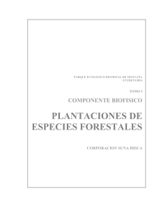 componente biofisico plantaciones de especies forestales parque ecologico montana entrenubes