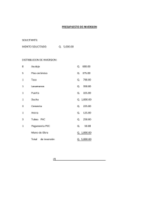 presupuesto de inversion 