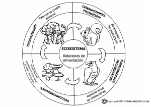 ecosistema-terrestre-cadena-alimenticia