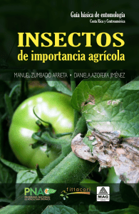Insectos de importancia agrícola