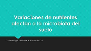 Variaciones de nutrientes afectan a la microbiota del suelo