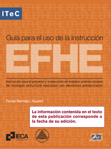 Guía para el uso de la instrucción EFHE ITeC 2003
