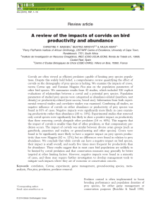 A Review of the impacts of corvids on Bird productivity and abundance