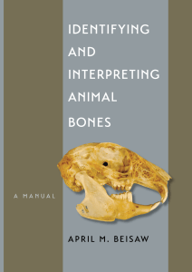 405230858-Identifying-and-Interpreting-Animal-Bones-pdf