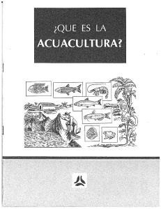 acuaculturaVBN