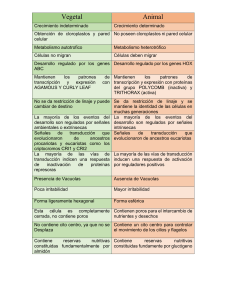 Diferencias entre celulas; Vegetal y Animal