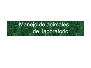 manejo-de-animales-de-laboratorio-1220763778896047-8-convertido