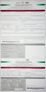 Mexican-Customs-Declarations-Form-Form-FMM-LosCabosAirport