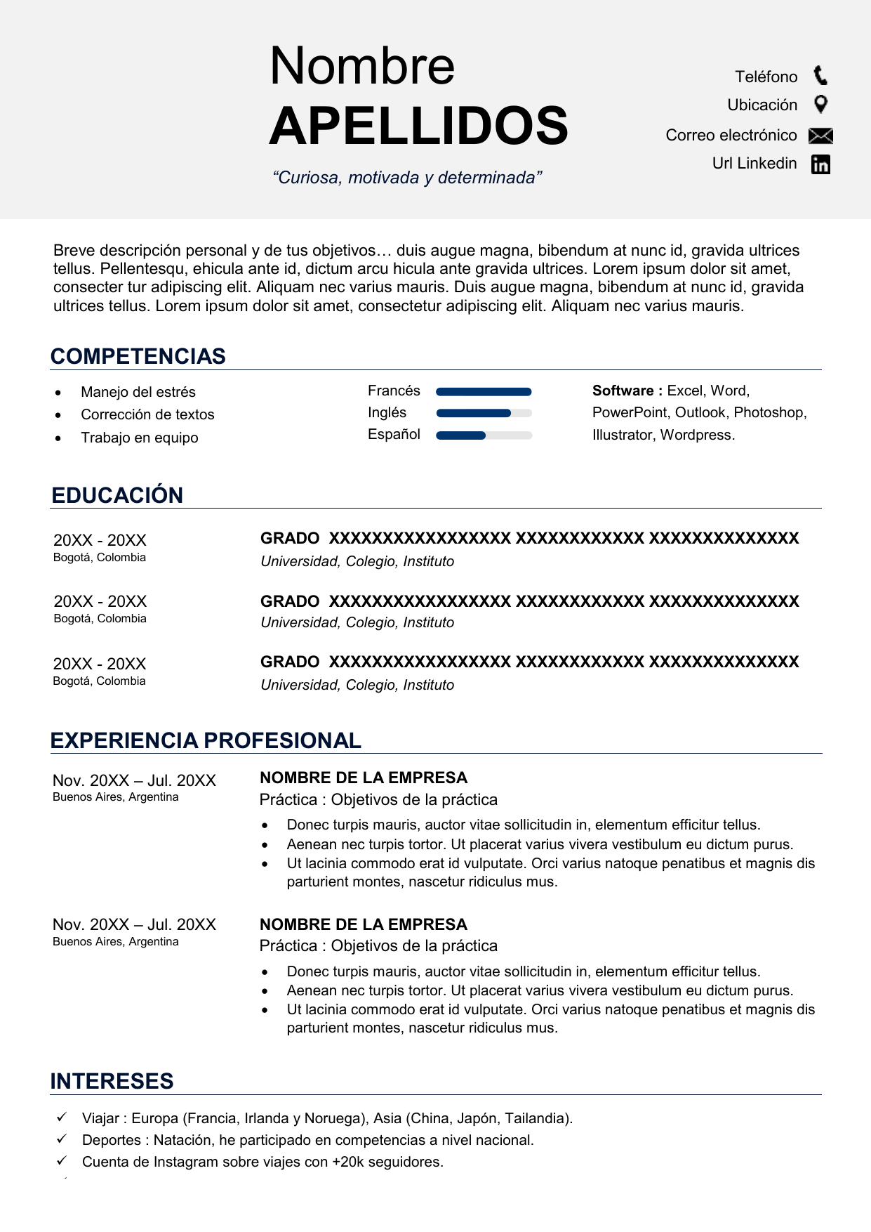 Formato Para Llenar De Curriculum Vitae 1664