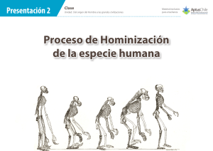 Pdf de hominización