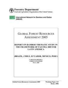 2005 REPORT ON BAMBOO  FAO FROM BRAZIL, CHILE, ECUADOR, MEXICO, PERU