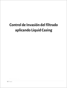 BROCHURE DE LIQUID CASING  - JUNIO 2018