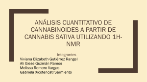 Análisis cuantitativo de cannabinoides a partir de cannabisbien