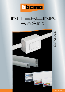 Interlink Basic 10