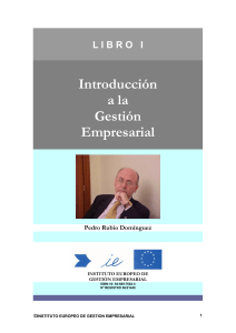 Introducción a la Gestión Empresarial, Pedro Rubio Domínguez
