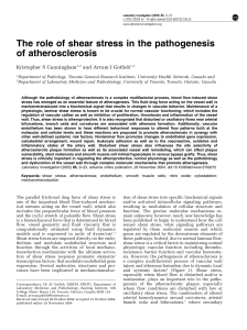 The role of shear stress in the pathogenesis of atherosclerosis