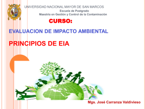 CURSO EIA Y SOCIAL- 2019-II- PDF