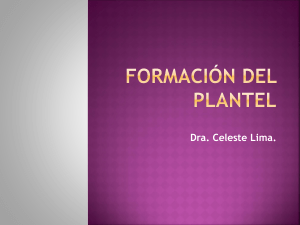  CLASE DE FORMACION DEL PLANTEL