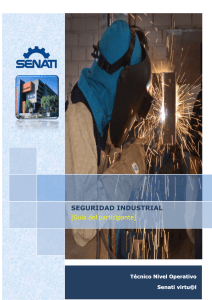manual-de-seguridad-e-higiene-industrial