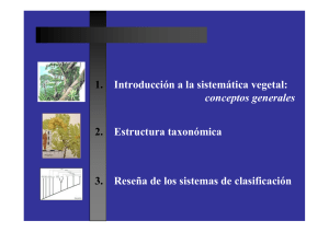 1Clase Taxonomia y Sistematica Vegetal