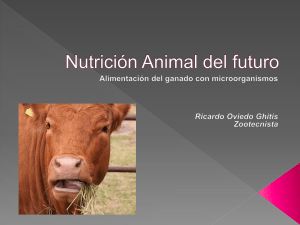 Nutrición Animal del futuro