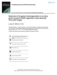 Detection of irrigation inhomogeneities in an olive grove using the NDRE vegetation index obtained from UAV images