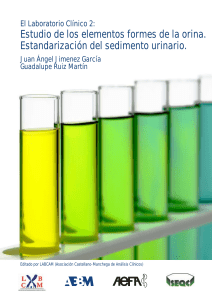 D-Estandarizacion del sedimento urinario