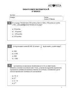 8o-basico-ensayo-simce-matematica-a