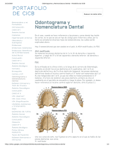 Odontograma y Nomenclatura Dental - Portafolio de CICB
