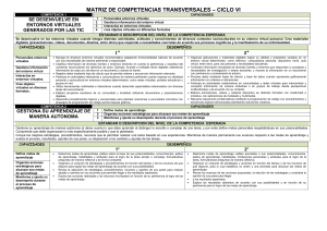 MATRIZ DE COMPETENCIAS TRANSVERSALES TRANSVERSALES (2)