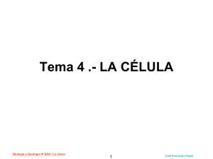 Tema 4.- LA CÉLULA Biología y Geología 4º ESO  La célula