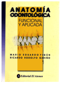 figun-anatomc3ada-odontologica-funcional-y-aplicada