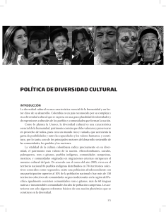 07 politica diversidad cultural