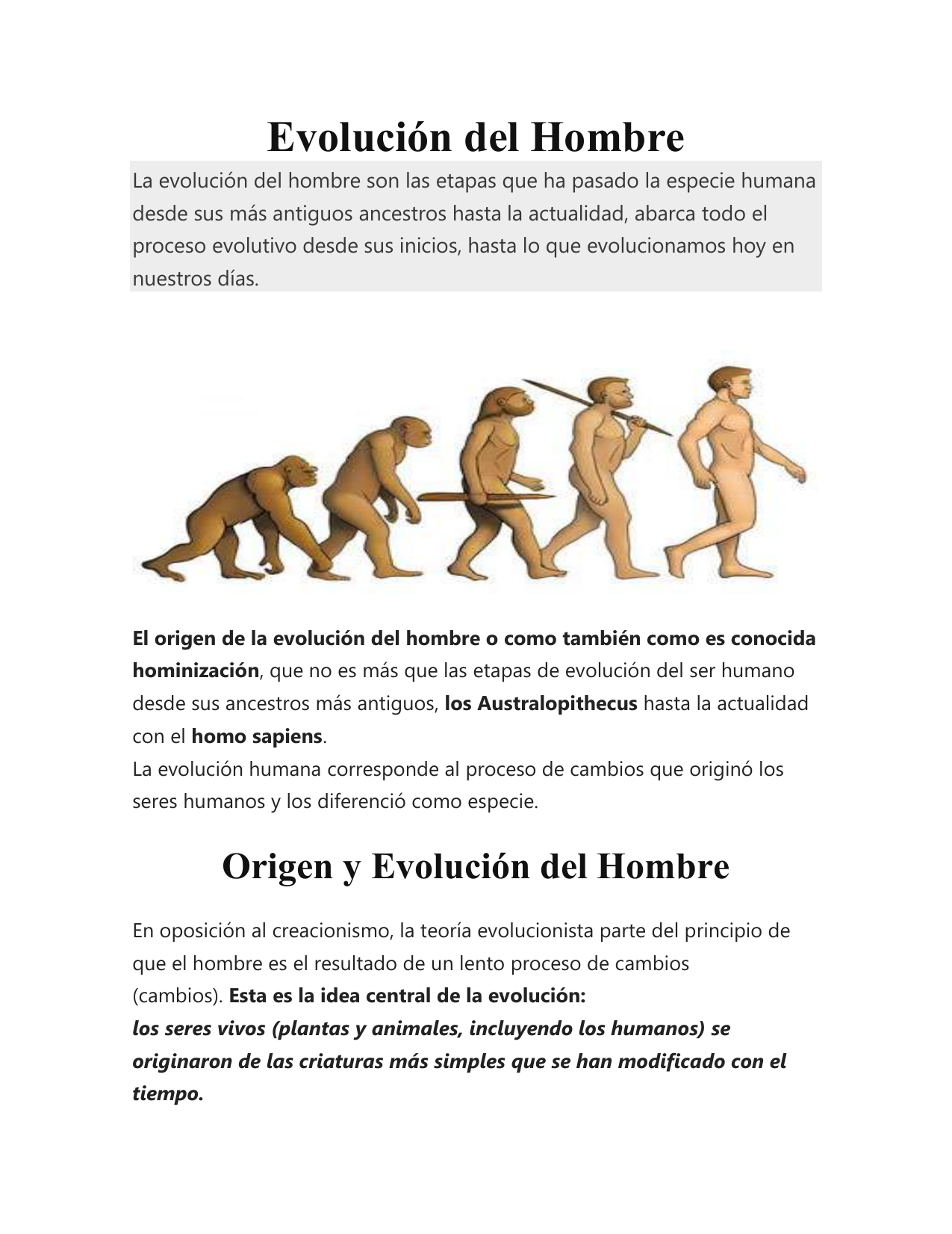 Evolución Del Hombre