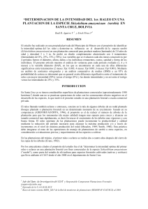 DETERMINACION DE LA INTENSIDAD DEL 1er. RALEO EN UNA PLANTACION DE LA ESPECIE Shizolobium amazonicum   (serebó)  EN SANTA CRUZ, BOLIVIA