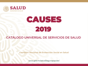 CAUSES 2019 Publicación