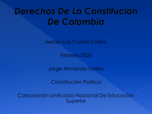 Derechos De La Constitución De Colombia