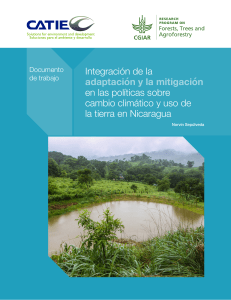 Integración adaptación mitigación en políticas cambio climático Nicaragua
