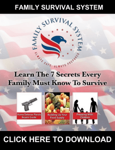 Family Survival System PDF, eBook by Frank Mitchell