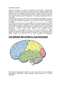 resumen parcial neurociencias