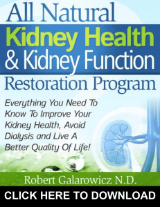 All Natural Kidney Health and Kidney Function Restoration Program PDF, eBook by Robert Galarowicz