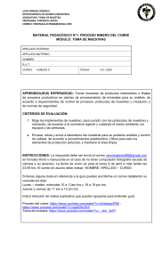 Toma de muestra Proceso del cobre