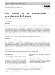 Una revision de la neuroanatomia y neurofisiologia