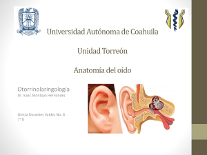 Copia de anatomia de oido