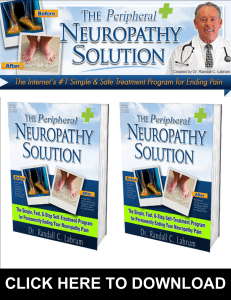 The Neuropathy Solution Program PDF, eBook by Randall Labrum