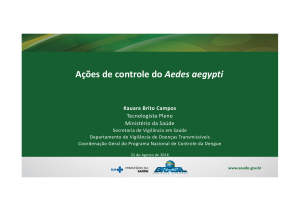 Ações de controle do Aedes aegypti